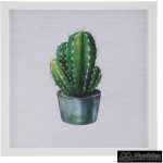 cuadro impresion cactus 2 m decoracion 45 x 45 cm 2
