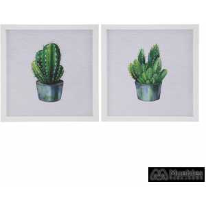 cuadro impresion cactus 2 m decoracion 45 x 45 cm