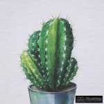 cuadro impresion cactus 2 m decoracion 45 x 45 cm 4