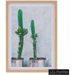 cuadro impresion cactus 2 m decoracion 49 x 2 x 69 cm 10
