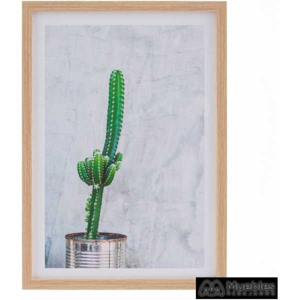cuadro impresion cactus 2 m decoracion 49 x 2 x 69 cm 11