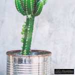 cuadro impresion cactus 2 m decoracion 49 x 2 x 69 cm 12