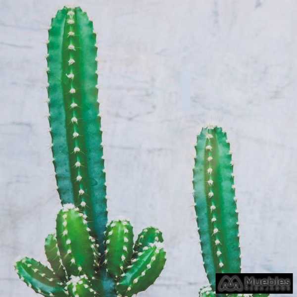cuadro impresion cactus 2 m decoracion 49 x 2 x 69 cm 13