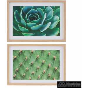 cuadro impresion cactus 2 m decoracion 49 x 2 x 69 cm