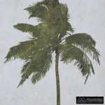 cuadro impresion palmeras 4 m 50 x 250 x 70 cm 6