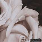 cuadro impresion rosas 2 m decoracion 49 x 2 x 69 cm 5