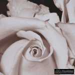 cuadro impresion rosas 2 m decoracion 49 x 2 x 69 cm 7